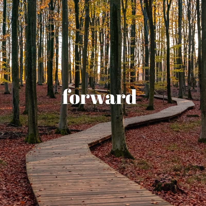 One Little Word® for 2022: forward